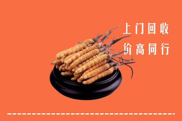 高价求购：长子县回收散虫草