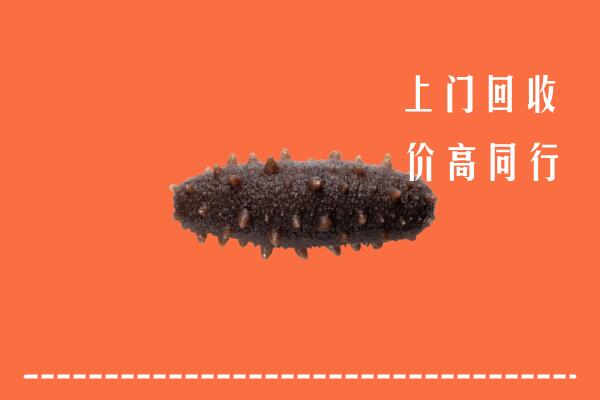 高价求购：长子县回收海参