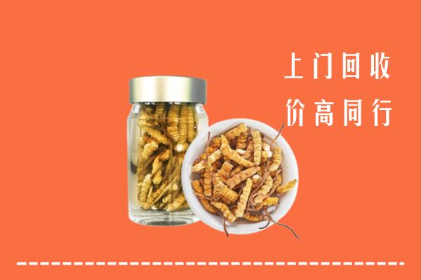 长子县回收冬虫夏草