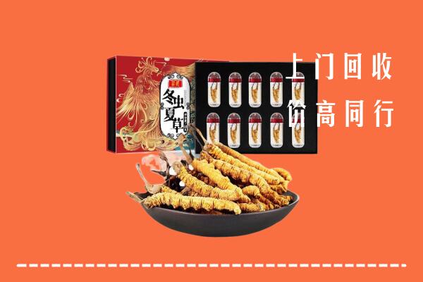 长子县回收虫草